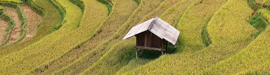 Où séjourner chez l'habitant à Mu Cang Chai au nord du Vietnam ?