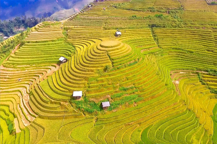 La colline de Mam Xoi à La Pan Tan est un incontournable à Mu Cang Chai Yen Bai