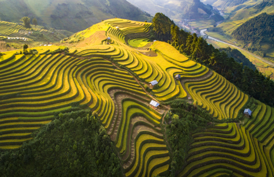 Mu Cang Chai Vietnam: Meilleure Période Pour Voyager À Mu Cang Chai