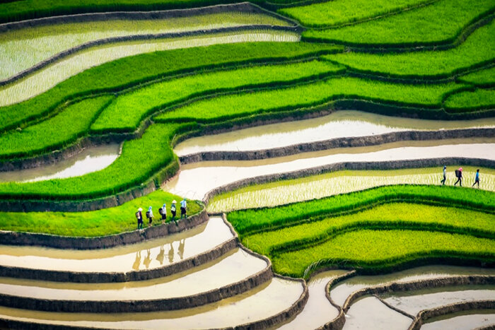 Saison de l'écoulement d'eau à Mu Cang Chai