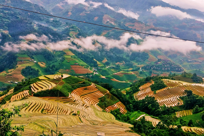 Explorer les rizières en terrasses à Mu Cang Chai