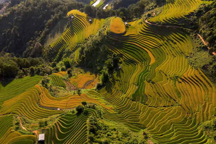 Rizières en terrasse de Mu Cang Chai, chef d’œuvre des Hmong