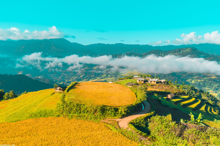 Paysages spectaculaires de rizières en terrasses à Mu Cang Chai