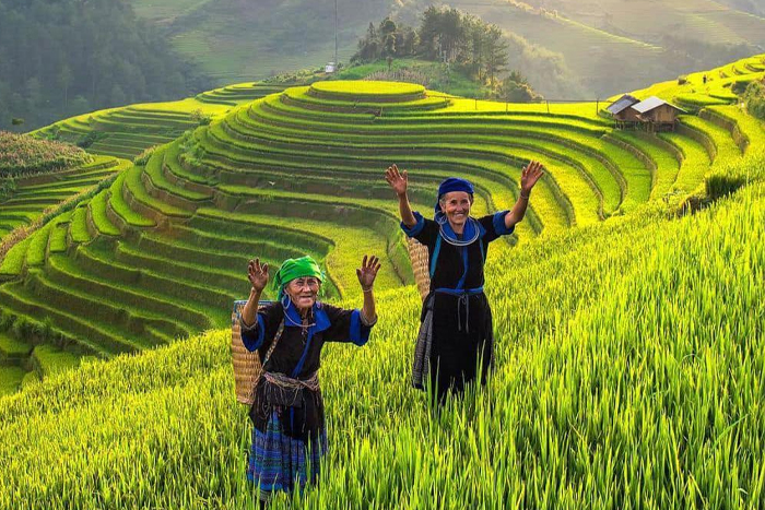 Les H'mong à Mu Cang Chai Yen Bai