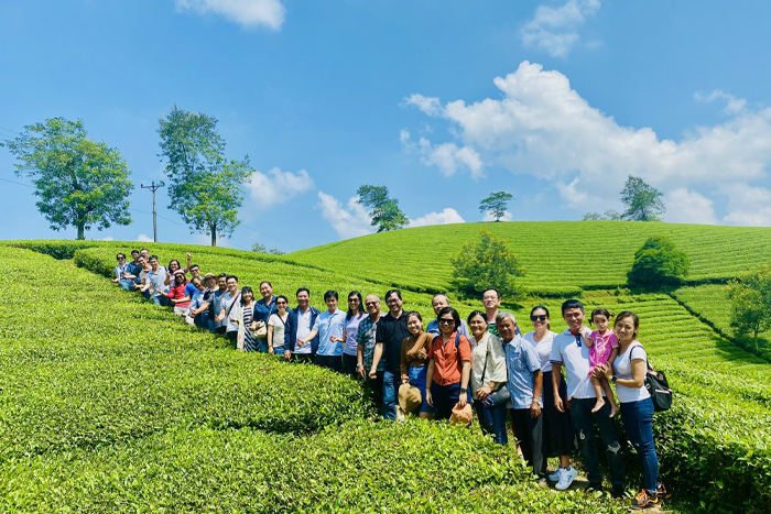 Que faire à Nghia Lo? Visite des plantations de thé à Nghia Lo