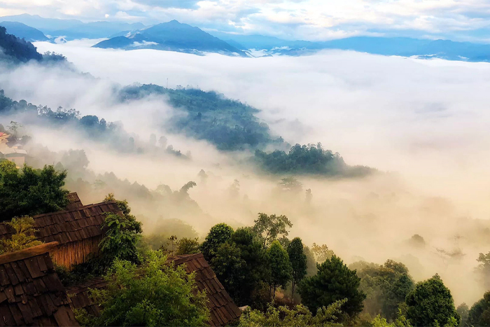 Explorer d'autres plantations de thé à Yen Bai Vietnam