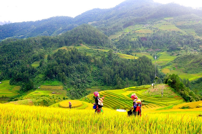 Village de Tu Le