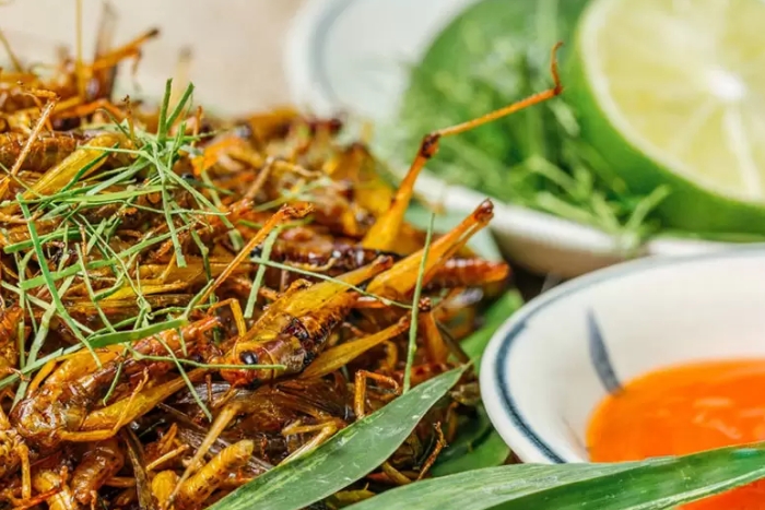  Sauterelles grillées à Mu Cang Chai