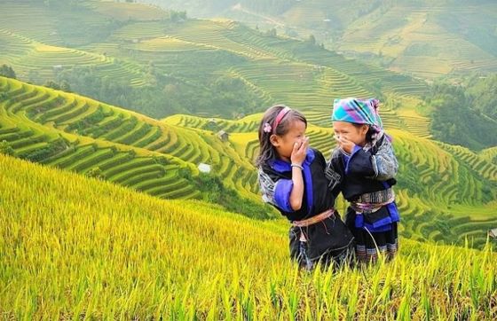 Vallée De Tu Le: Un Guide Complet Pour Votre Visite à Tu Le Vietnam