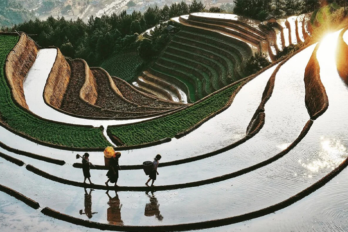 Quand est la meilleure période pour visiter Tu Le Yen Bai?