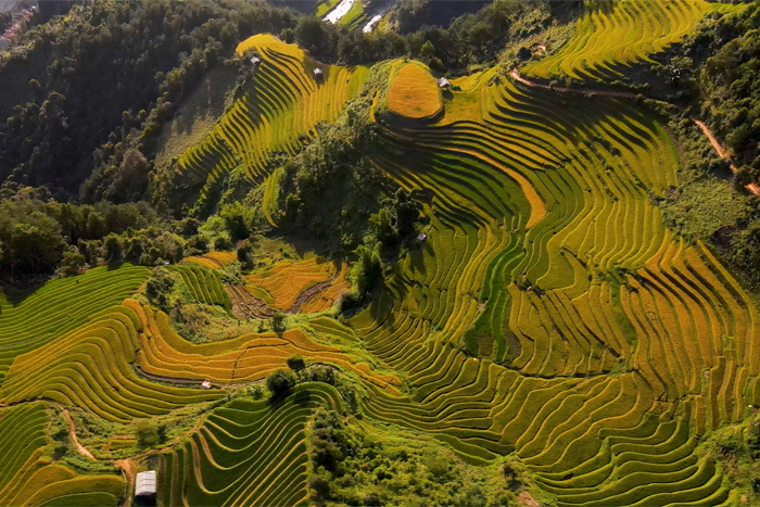  Les rizières en terrasses de Mu Cang Chai Yen Bai