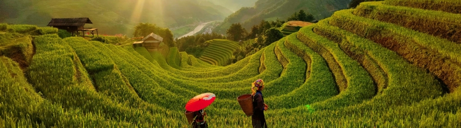 Explorer la nature du Vietnam lors d'un voyage Yen Bai Lao Cai 6 jours
