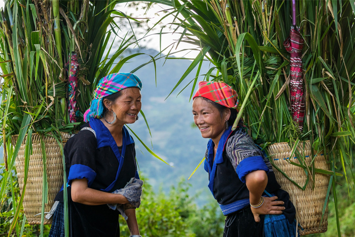 Nord du Vietnam en janvier – Les meilleures destinations à visiter en Asie du Sud-Est