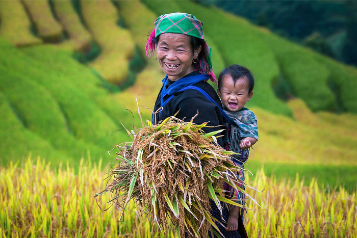 Inspirations d’itinéraires pour un voyage en Asie du Sud-Est en janvier