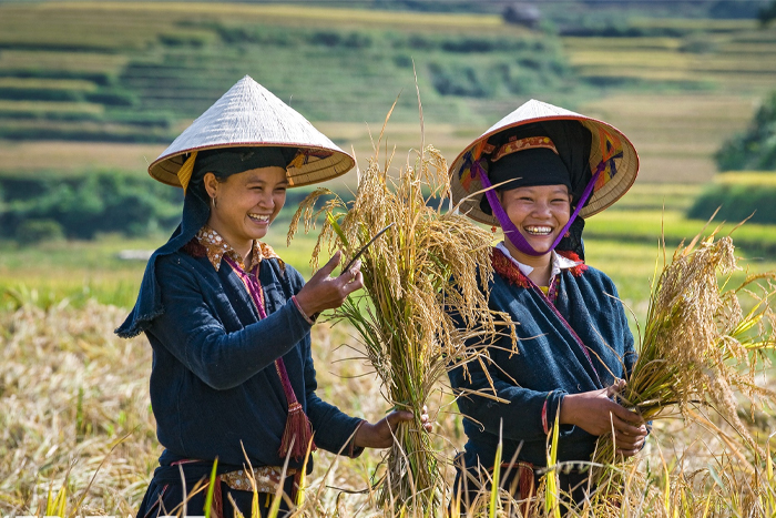 Les meilleures choses à voir en Asie du Sud-Est en janvier