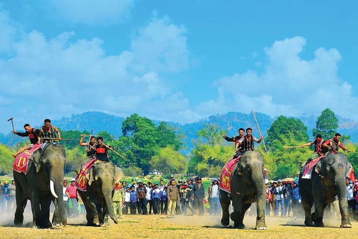 Un temps fort culturel au Vietnam: La fête de course d’éléphants de Buon Don