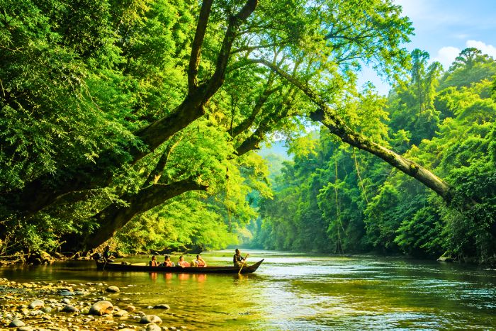 S&rsquo;aventurer au c&oelig;ur de la jungle sauvage de Taman Negara