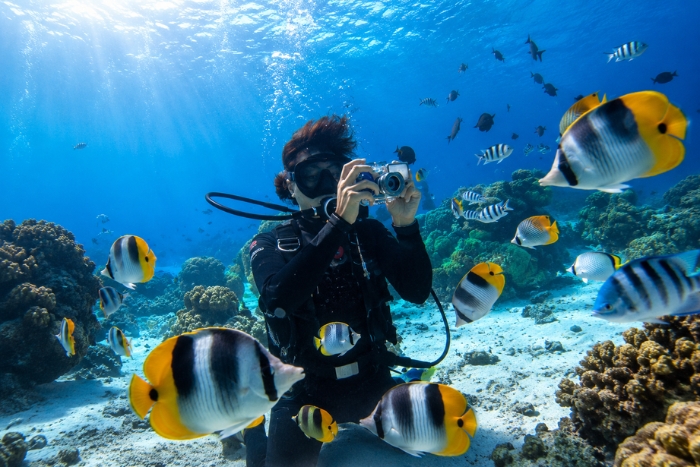 Explorer les fonds marins de Tioman en plong&eacute;e