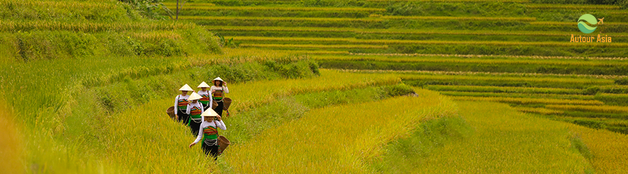Pu Luong - Thanh Hoa